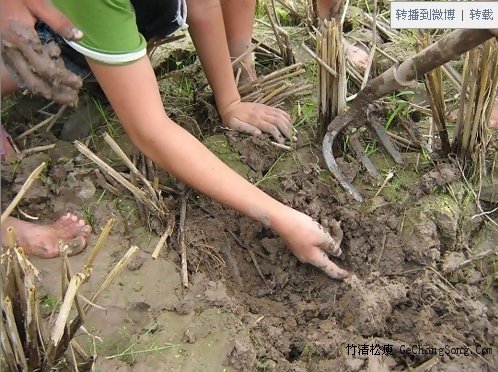 80后农村孩子童年的记忆……